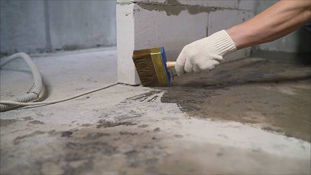SJ Waterproofing Pros Waterproofing coverage map for Ravenna, MI and surrounding area